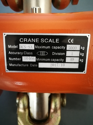 Elektronische Crane Scale With Digital Weighing Haken-Balance 50KG